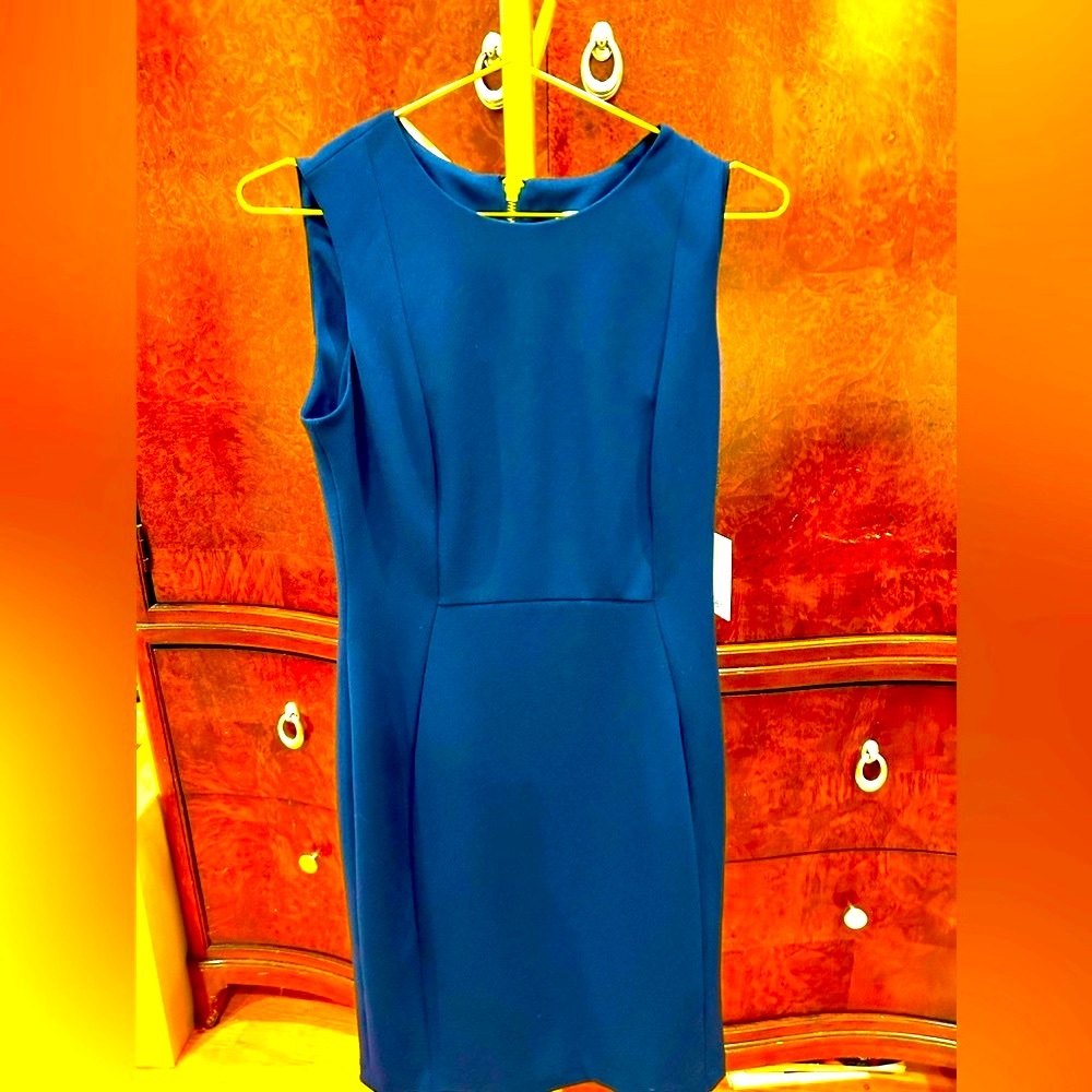 Calvin Klein size 6 dress sleeveless classic staple dress. Brand new with tags